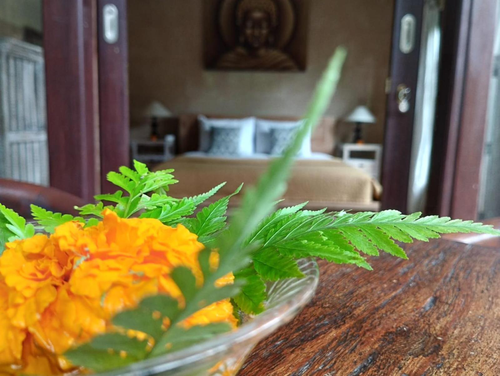 Umah Ubud Guest House Dış mekan fotoğraf